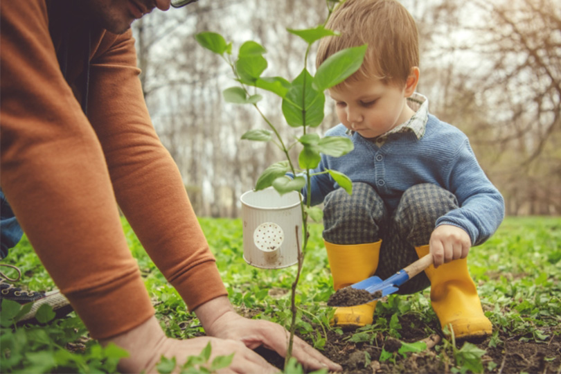 Young boy planting tree with adult